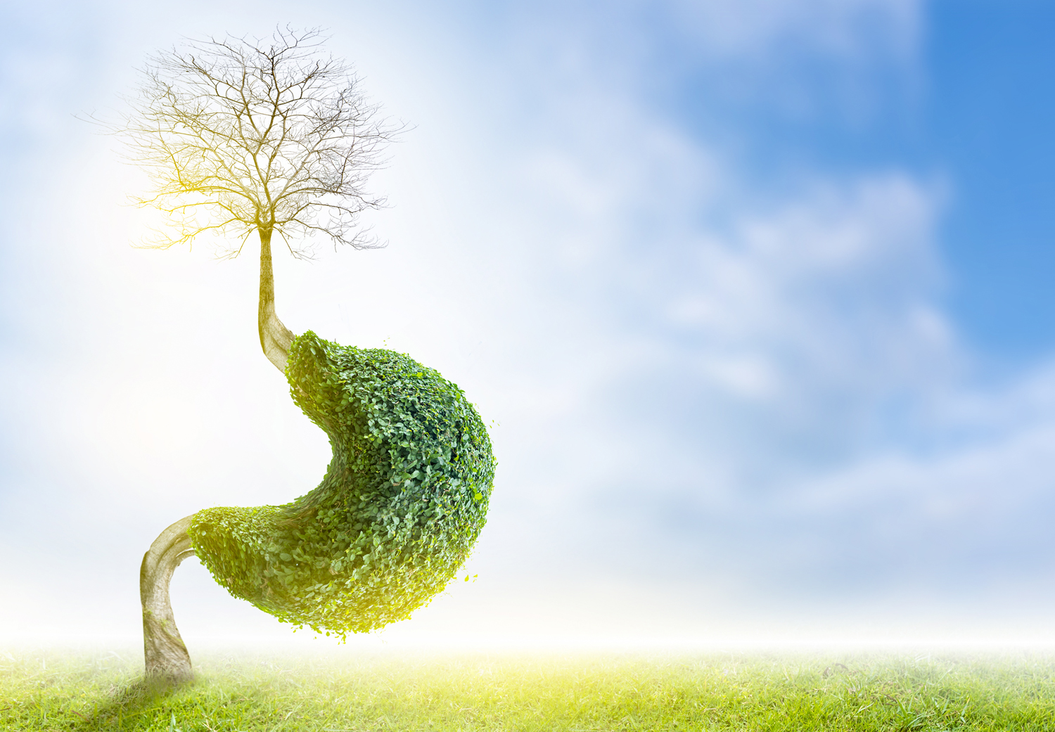 Digestive enzymes are tiny with a huge impact